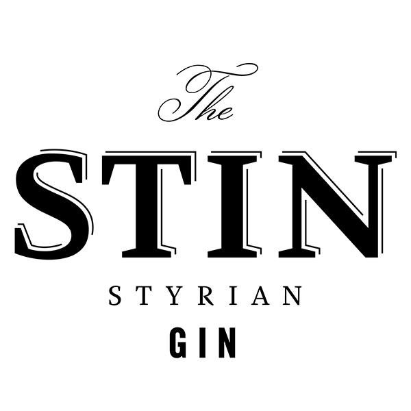 the-stin-史丁 logo