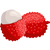 荔枝 lychee icon