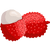 荔枝 lychee icon