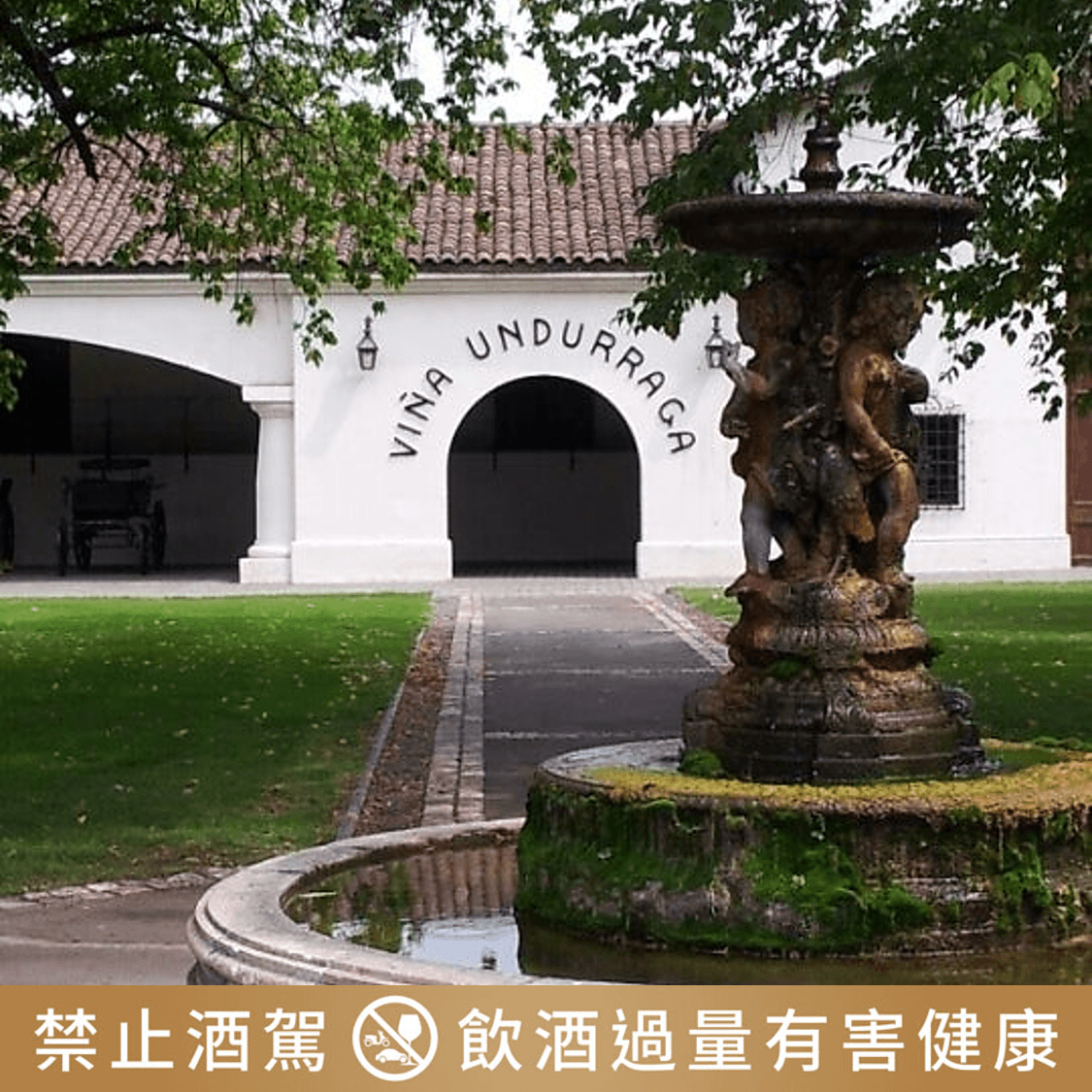 智利葡萄酒的新高度<BR>恩圖拉堡酒莊