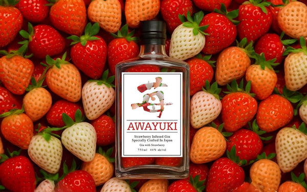 新登場】梅乃宿淡雪草莓琴酒| 買酒網MY9