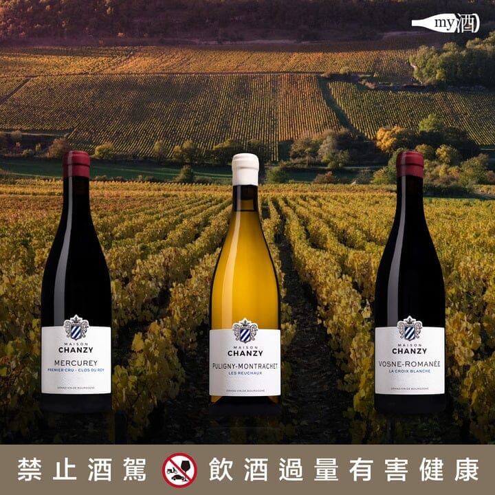 【品牌介紹】尚茲酒莊 MAISON CHANZY