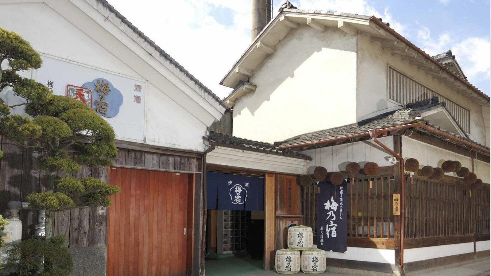 果實酒王者「梅乃宿」強勢來襲！