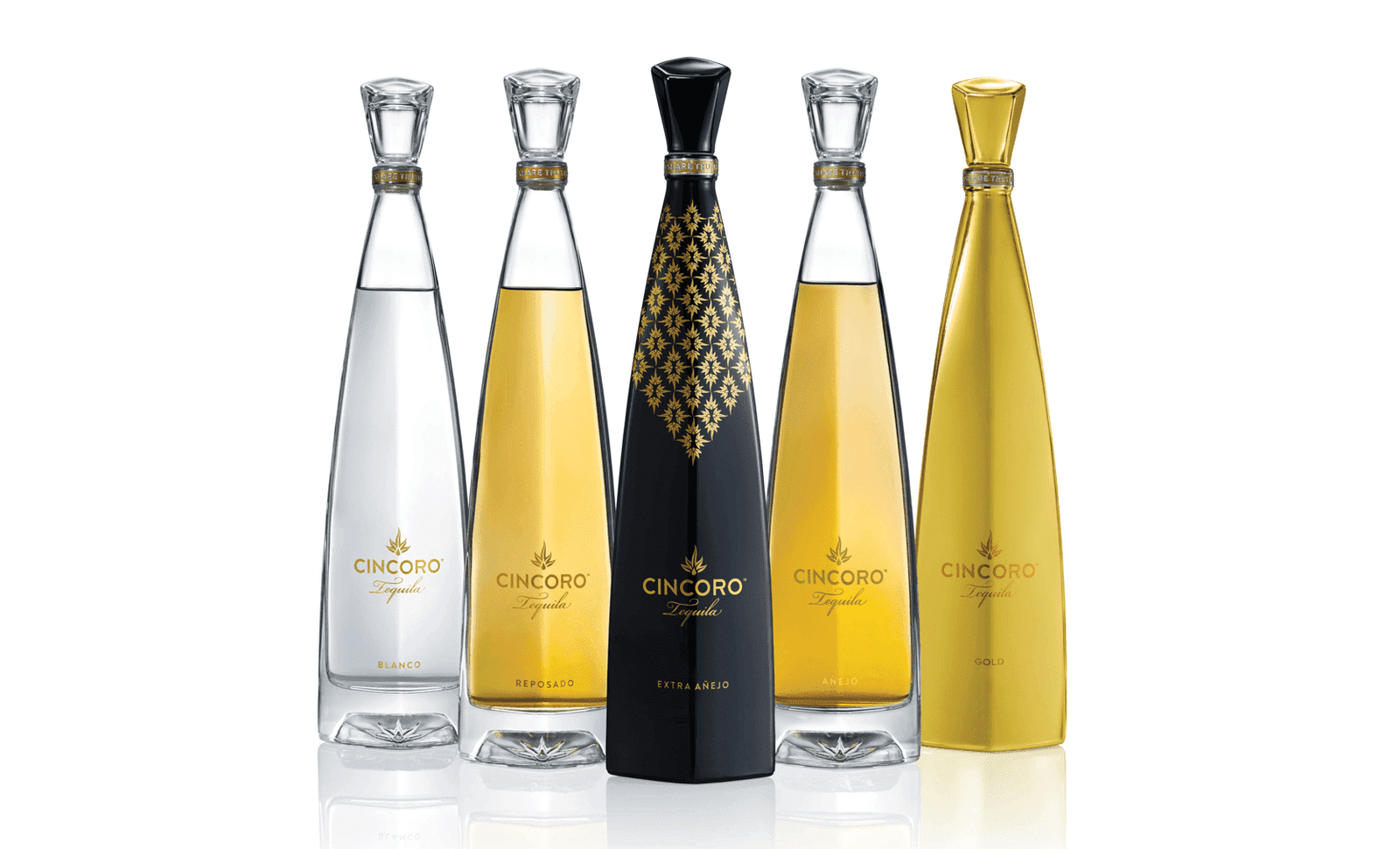 精品奢華龍舌蘭 - 星可洛 CINCORO