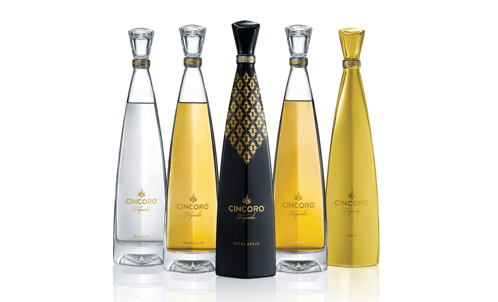 精品奢華龍舌蘭 - 星可洛 CINCORO