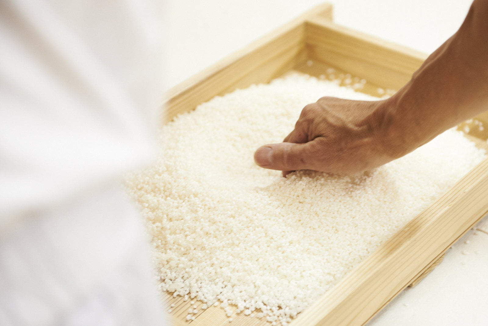 關於清酒的書籍分享