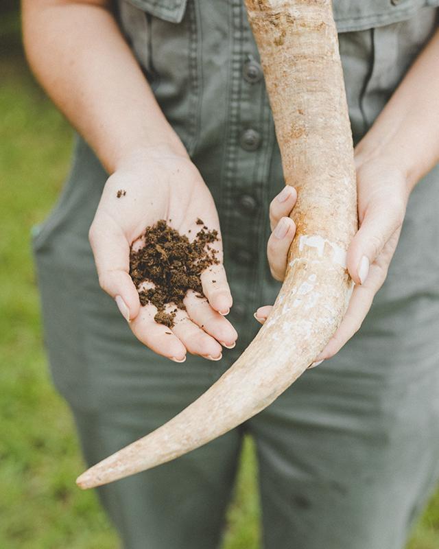 有機、生物動力和自然酒之間的差異 - Part 2