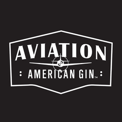 Aviation 飛行琴酒