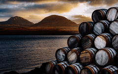 The Whisky Malt Company