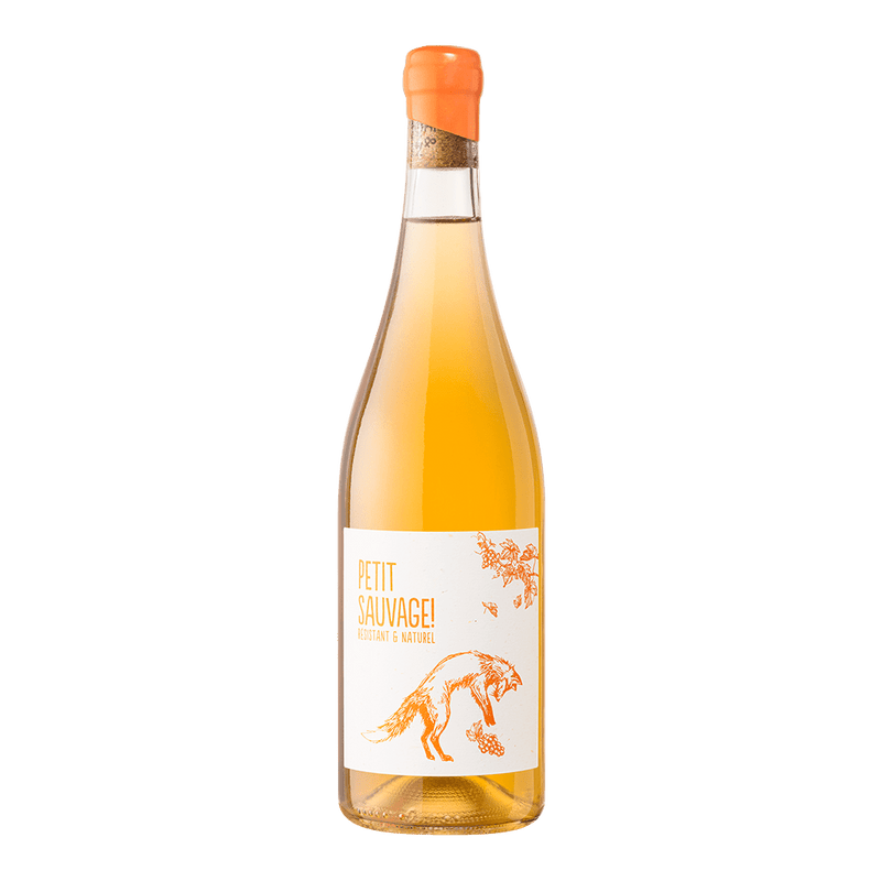 皮耶安東尼 小野獸橘酒 2025 || Pierre Antonin Sauvage Orange 2025