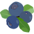 藍莓 blueberry icon