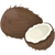 椰子 coconut icon