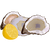 生蠔 oysters icon