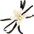 香草 vanilla icon