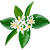 白花 whiteflower icon